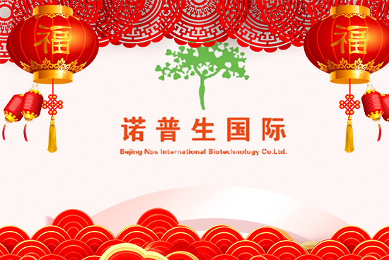 ţ\ţD(zhun)CZףԸţţ
