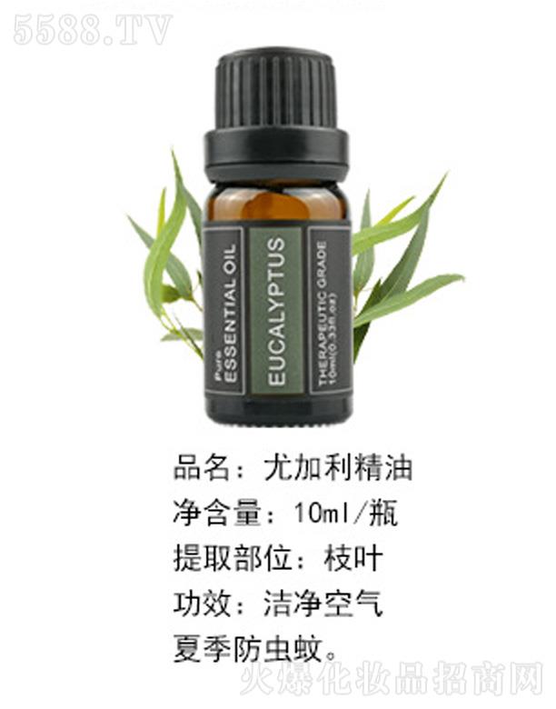 ȼ 10ml