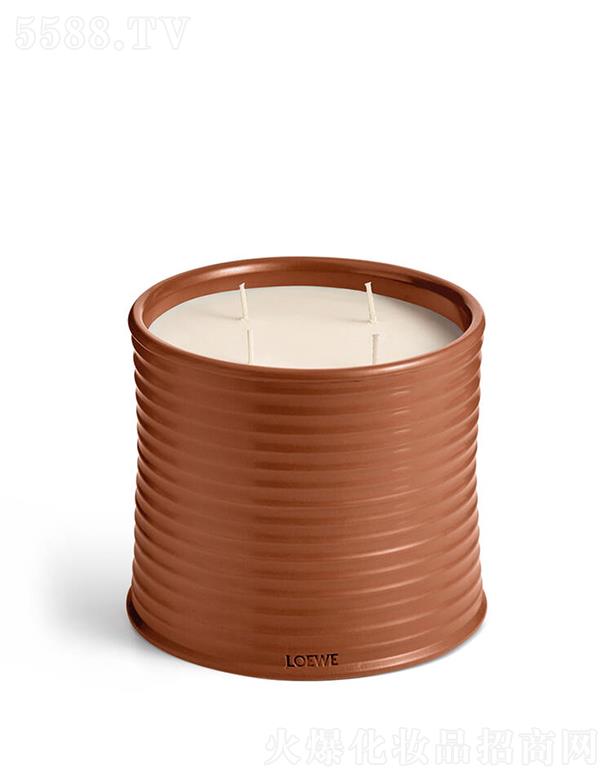 LOEWE̖(ho)㾫ϞT 100